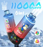 Bang Leader 110000 Zaciągnięć 6w1 – Jednorazowy E-Papieros z Ładowaniem USB-C i Regulacją Smaków