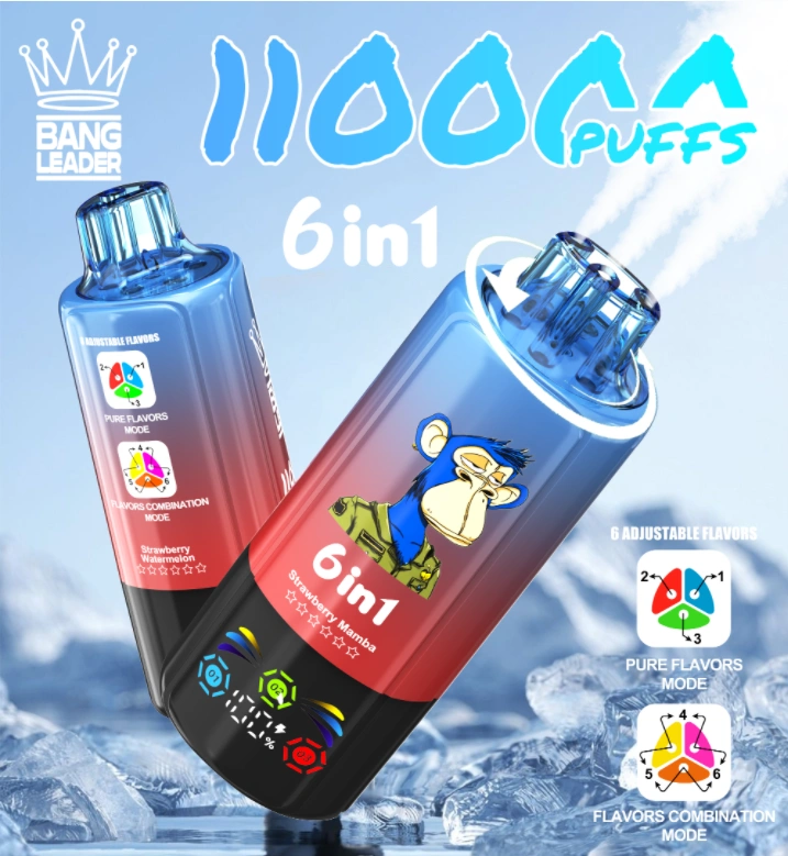 Bang-Leader-Vapes-110000-Puffs-Factory-Price Bang Leader 110000 Zaciągnięć 6w1 – Jednorazowy E-Papieros z Ładowaniem USB-C i Regulacją Smaków - obrazek 1