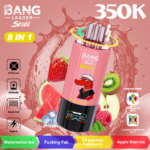 Bang Leader Stoll 350K – zestaw Arbuz Ice / Truskawka Malina / Jabłko Kiwi Ice
